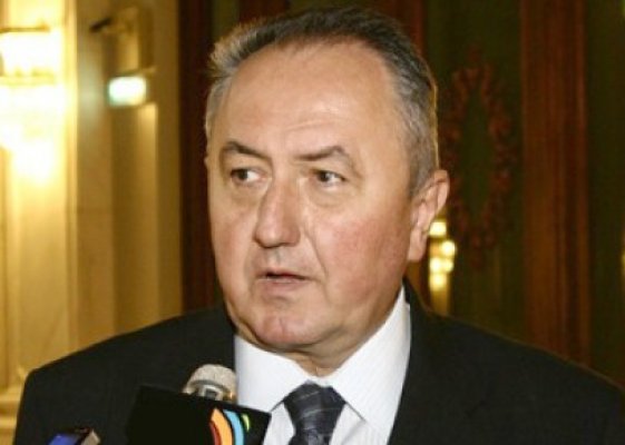 Cristian Rădulescu, senator PDL: